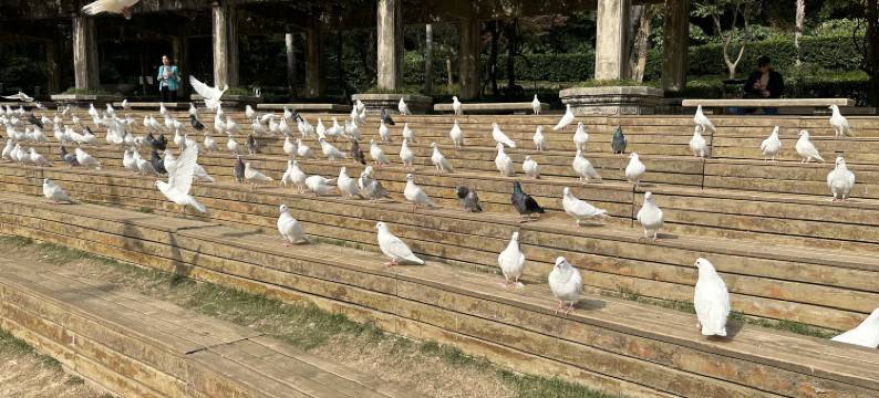 元庭Design House民宿(南京新街口店)图片