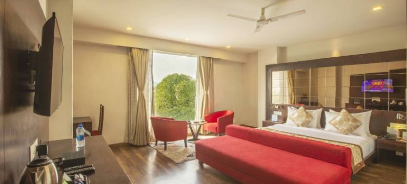 乌代布尔维斯塔大中央(Vesta Grand Central Udaipur)图片