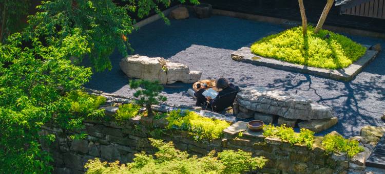 庵岚·森林溪泉私汤民宿图片