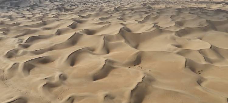 夜鸣沙酒店图片