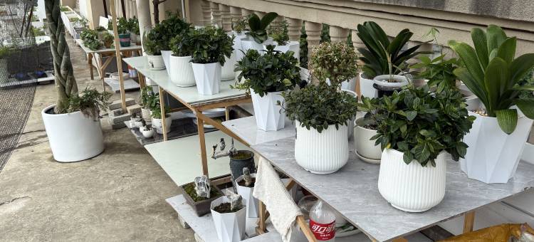 安顺镇宁畔山酒店图片