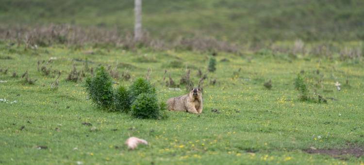 天祝暻阁酒店图片