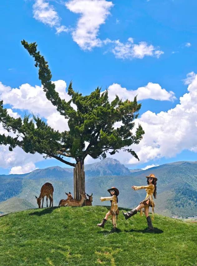 丽思漫丨心宿·穹庐四野供氧庄园(香格里拉店)图片