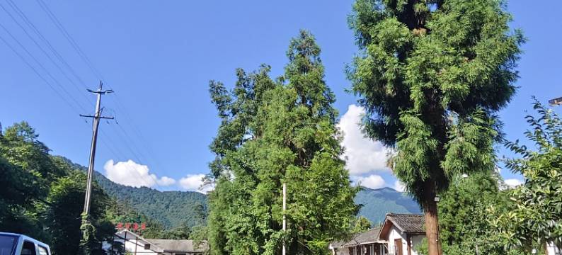 峨眉山鑫钰酒店(峨眉山景区零公里店)图片