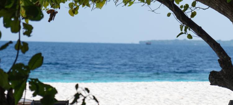 巴阿环礁卡马杜霍霍克斯酒店巢(Nest by Hawks Hotel Kamadhoo Baa Atoll)图片