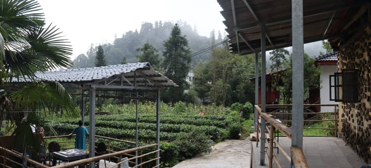 峨眉山龙怡山庄图片