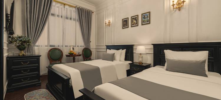 维纳复古酒店(Vina Vintage Hotel)图片
