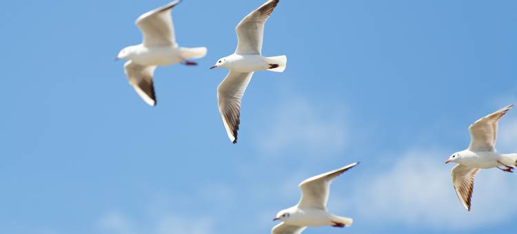 昆明中维翠湖宾馆图片