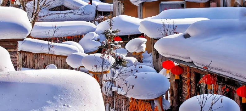 会来运·雪庭安栖 SnowView 民宿图片