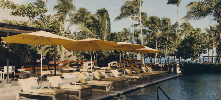 Club Med地中海俱乐部·米切斯度假村(Club Med - Michès Playa Esmeralda)图片