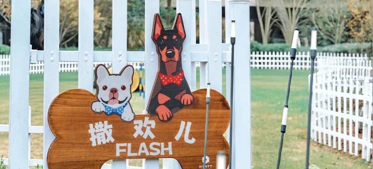 上海临港凯悦酒店图片