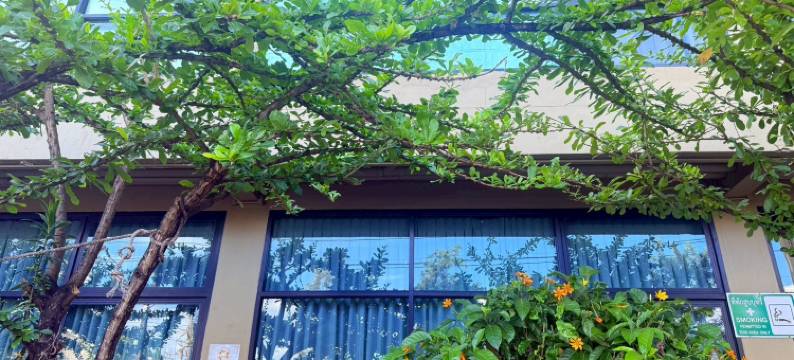 清莱沃克登酒店(Work Den Chiangrai)图片