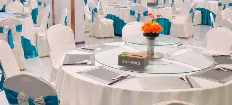 龙成天驿酒店图片