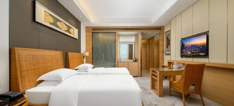 东莞康帝国际酒店图片