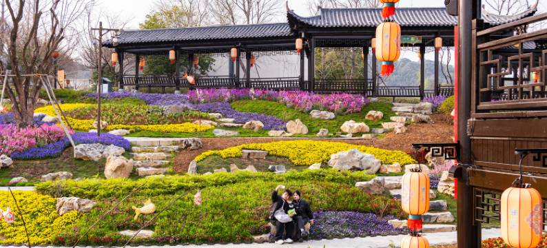 婺女洲度假区徽市街艺术酒店图片