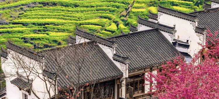 花蹊·见山｜隐奢民宿(篁岭景区店)图片