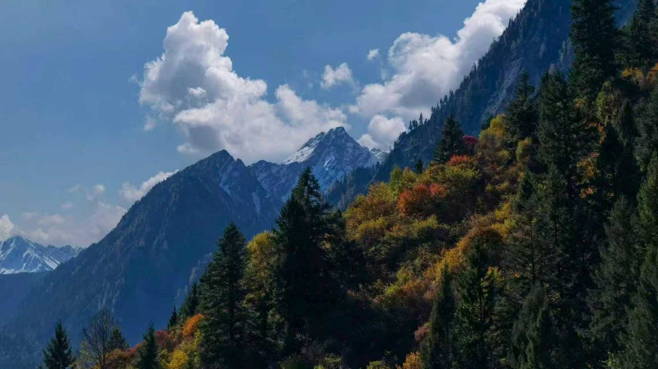 九寨森林地球仓图片