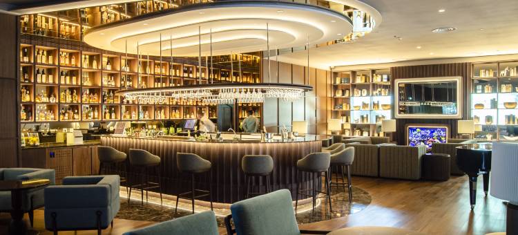 萨那马奥酒店(SANA Malhoa Hotel)图片