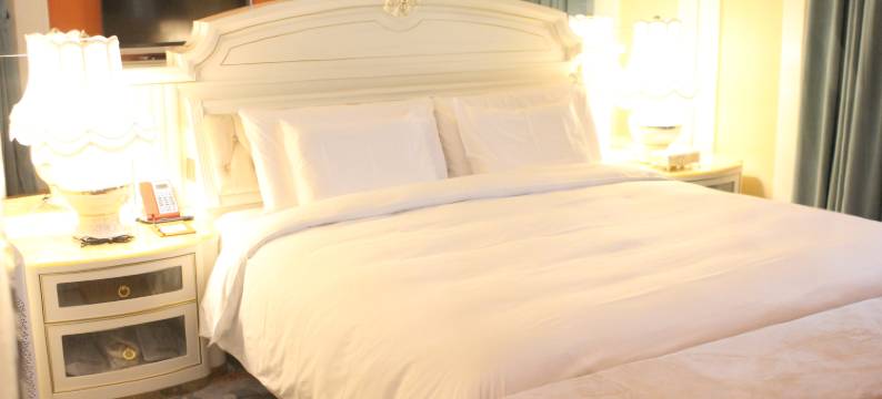 白金汉爵大酒店(苏州相城店)图片