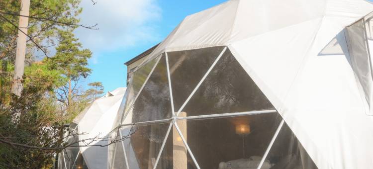 glampark 长野月下美人(glampark Gekkabijin Nagano)图片