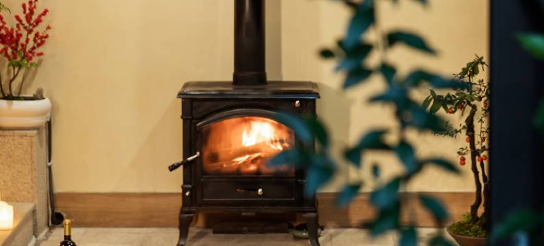 阿忠的家·安吉青梨民宿图片