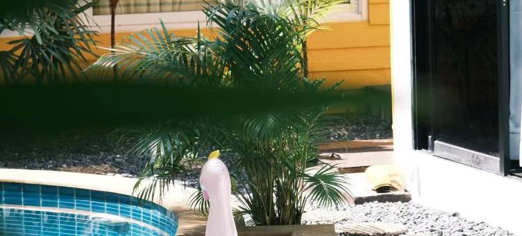 拉威莱檬度假村(沃霖 )(Rawai Lemon Resort-Adult Only)图片