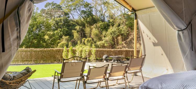 山上种树牛樟森林休闲农场图片