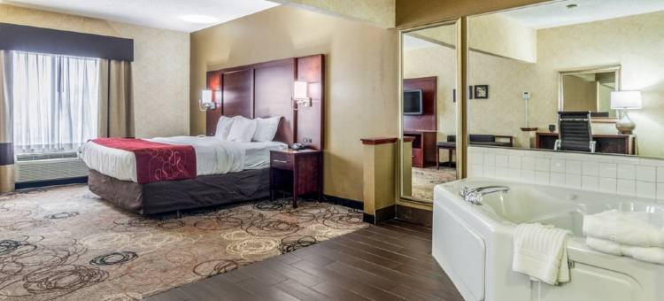 南菲尔德/底特律舒适套房酒店(Comfort Suites Southfield-Detroit)图片