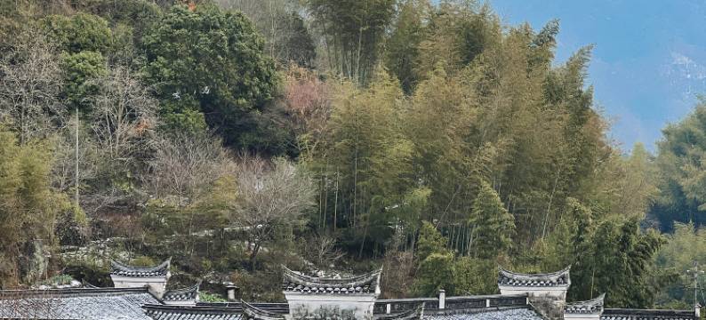 宁波沄野和光·栖霞坑度假村图片