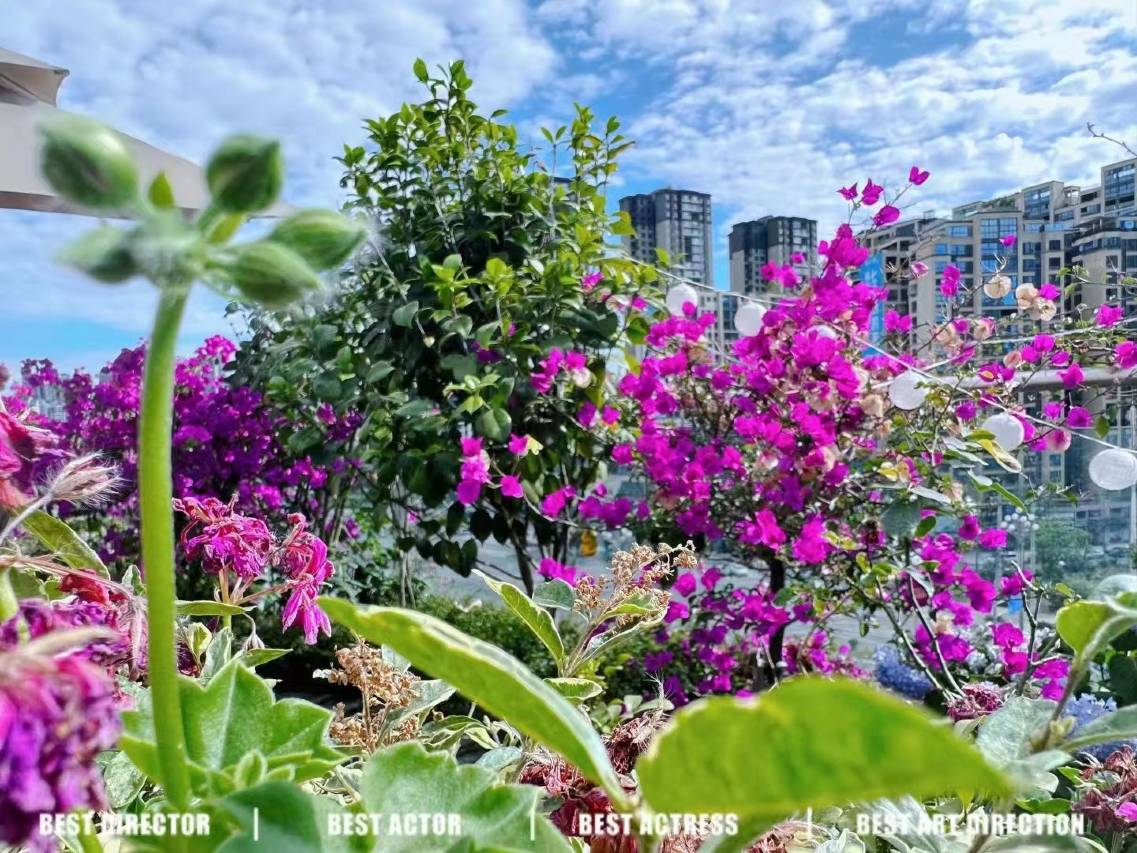 麗枫酒店(南充南部县锦天府浩口河儿童公园店)图片