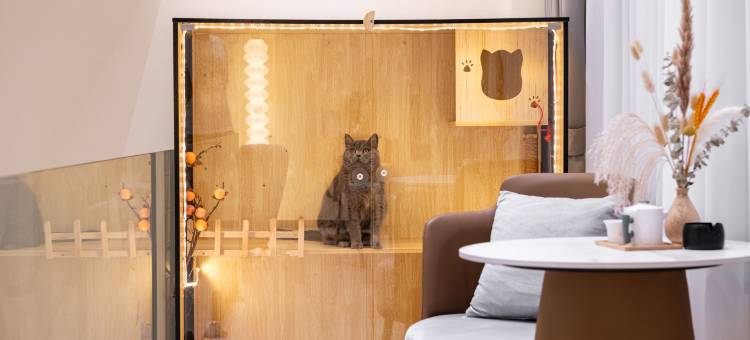 霞浦壹潮壹汐Villa·海边美墅图片