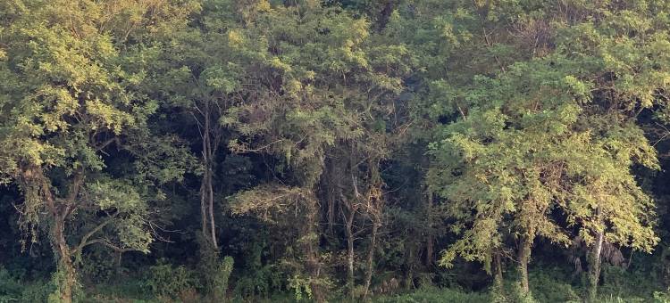 婺源隐溪草堂民宿(婺源漳村板凳桥景区店)图片