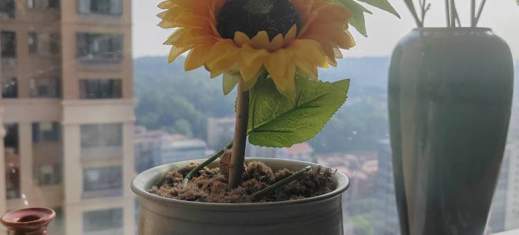 小草民宿(市医院闽师大店)图片