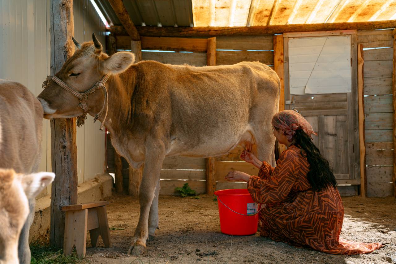 喀拉峻无垠之境野奢营地酒店图片