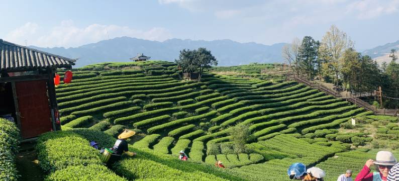 三江福云客栈图片