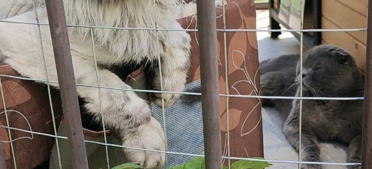 恩启酒店(邯郸火车站邯郸学院店)图片