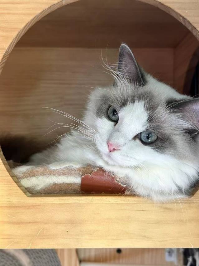 花筑·洱栖智能设计师民宿(磻溪S湾店)图片