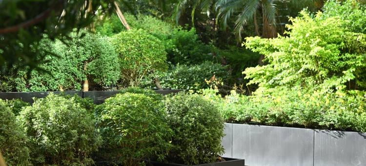 丰居旅店微风馆图片