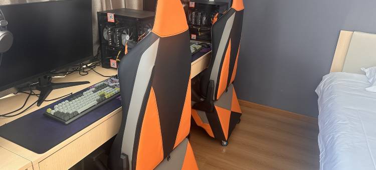 阜城假日精品酒店图片