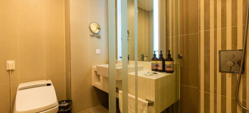 仁川机场环球酒店及套房(Incheon Airport Global Hotel & Suites)图片