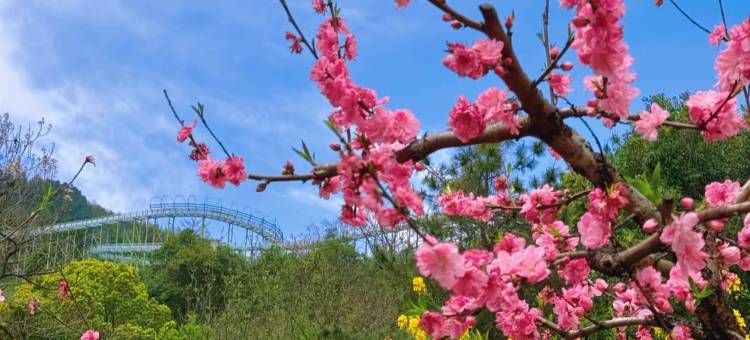 长兴博阳开元名庭大酒店图片