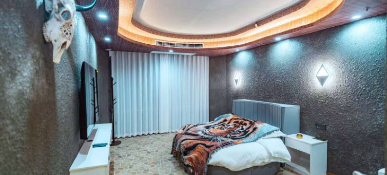 艾美多主题酒店图片