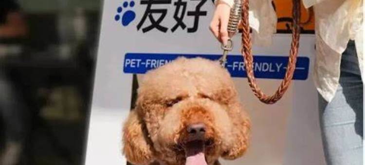 兰欧酒店(重庆万州店)图片