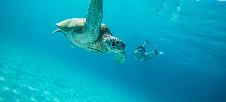 塔拉斯海滩Spa度假酒店(The Taaras Beach & Spa Resort)图片