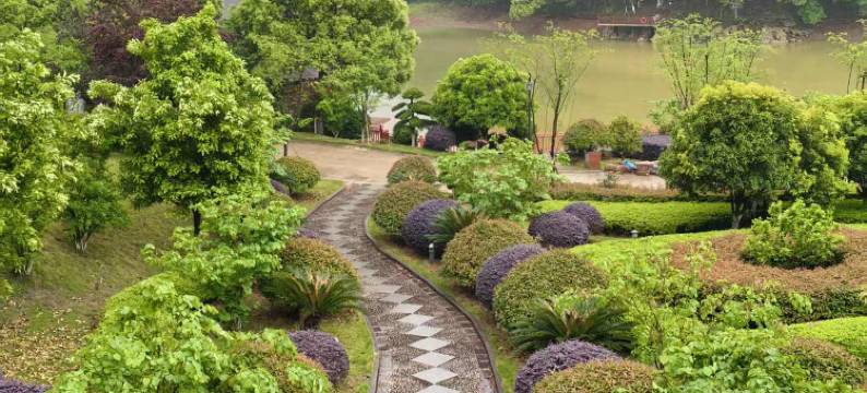 九江雨林度假村图片