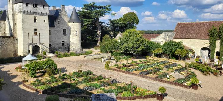 Hotel Chateau du Rivau图片