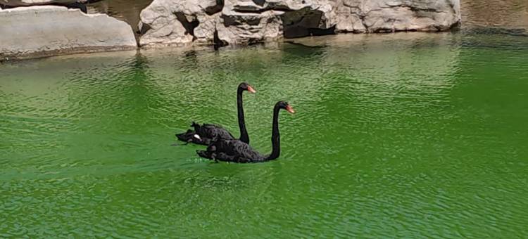 泰安泰岳温德姆酒店图片