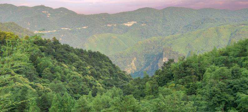 曼途木兮·云端竹海温泉度假民宿(安吉江南天池店)图片