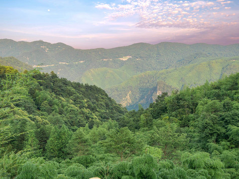 曼途木兮·云端竹海温泉度假民宿(安吉江南天池店)
