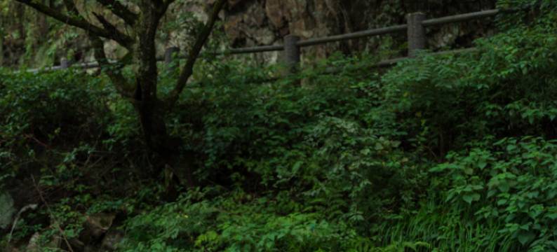 安吉遇见南溪民宿图片